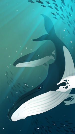 深海水族馆-1周年庆活动开始啦！