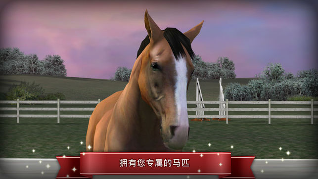 My Horse