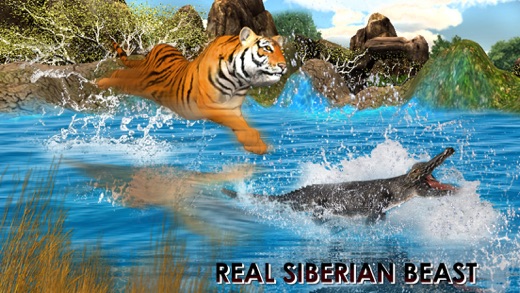野生虎丛林狩猎3D - 真正的西伯利亚野兽攻击的鹿在Safari动物模拟器游戏