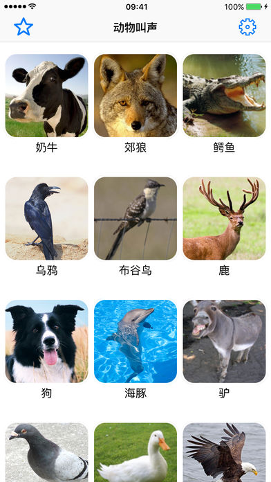 动物叫声音效专业版 - 认识狮子大自然界