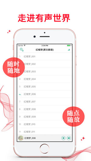 红楼梦【有声】国学经典 原文朗读