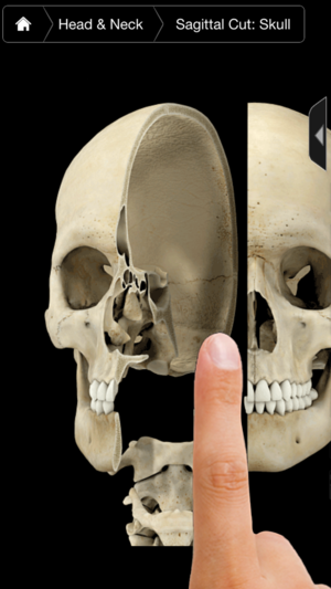 Skeleton System Pro III - iPhone Edition