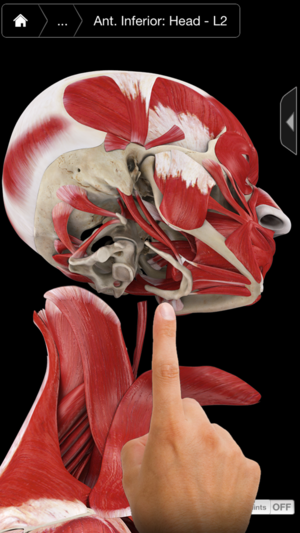 Muscle System Pro III - iPhone Edition