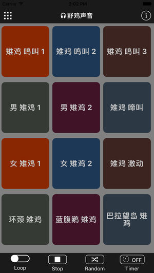 野鸡声音