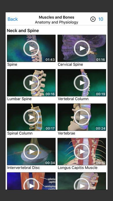 Pocket Anatomy