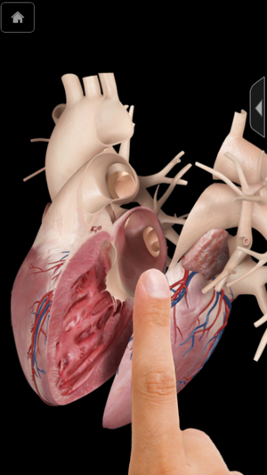Heart Pro III - iPhone Edition