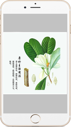中草药图文宝典