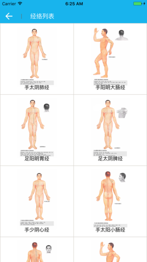 经络穴位大全