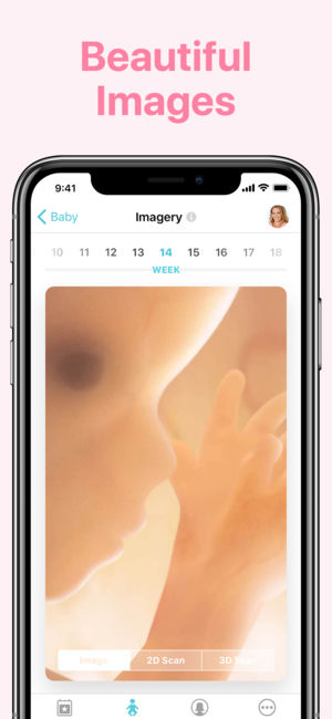 Pregnancy +