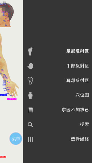 穴位图-中医减肥痛经瘦身健身养肾失眠高血压经络调理