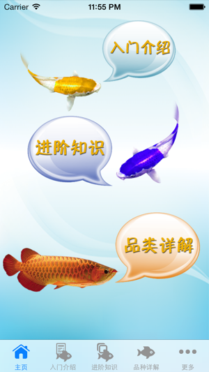 观赏鱼大全