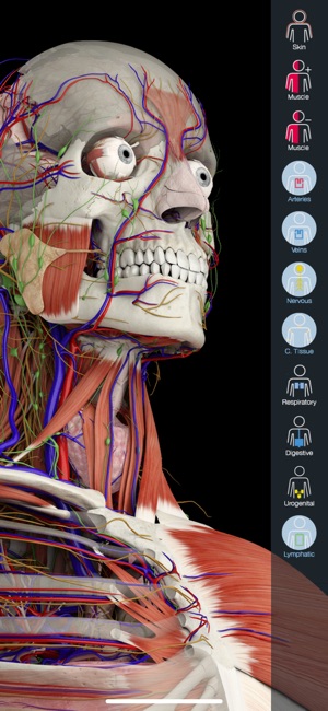 Essential Anatomy 5