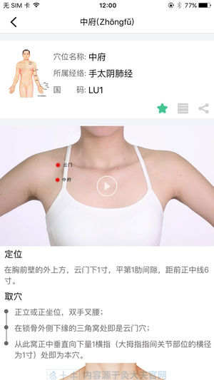 经络穴位图解