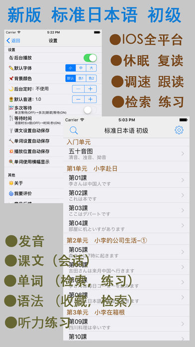 标日初级