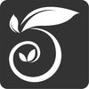 微舞_拉丁第五大道