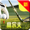 学打高尔夫球-轻松掌握高尔夫动作技巧