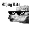 暴徒生活 - thug life 暴徒生活视频编辑器 朋友圈超火爆 小视频制作 抖音 短视频 咔叽