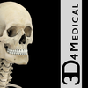 Skeleton System Pro III - iPhone Edition
