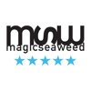 MSW Surf Forecast
