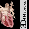 Heart Pro III - iPhone Edition