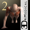 iMuscle 2 - iPhone Edition