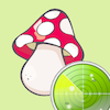 Mycelium