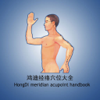 经络穴位大全