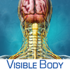 Brain and Nervous Anatomy Atlas: Essential Reference for Students and Healthcare Professionals