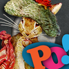 PopOut! The Tale of Benjamin Bunny