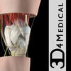 Knee Pro III with Animations - iPhone Edition