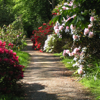 Yard and Garden Ideas Catalog