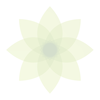 Moment – Screen Time Tracker