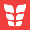 Six Pack ABS by VGFiT