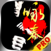 咏春拳速成—视频教程