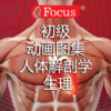 人体解剖和生理学
