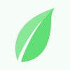 Serenitea