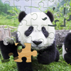 动物拼图 - 为孩子和幼儿了解野生动物世界