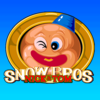 Snow Bros (雪兄弟)
